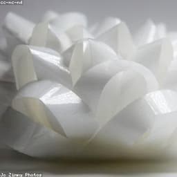 ধনুক