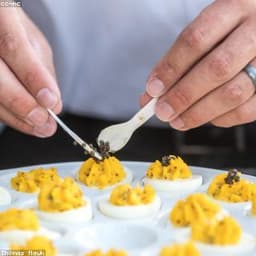 Egg